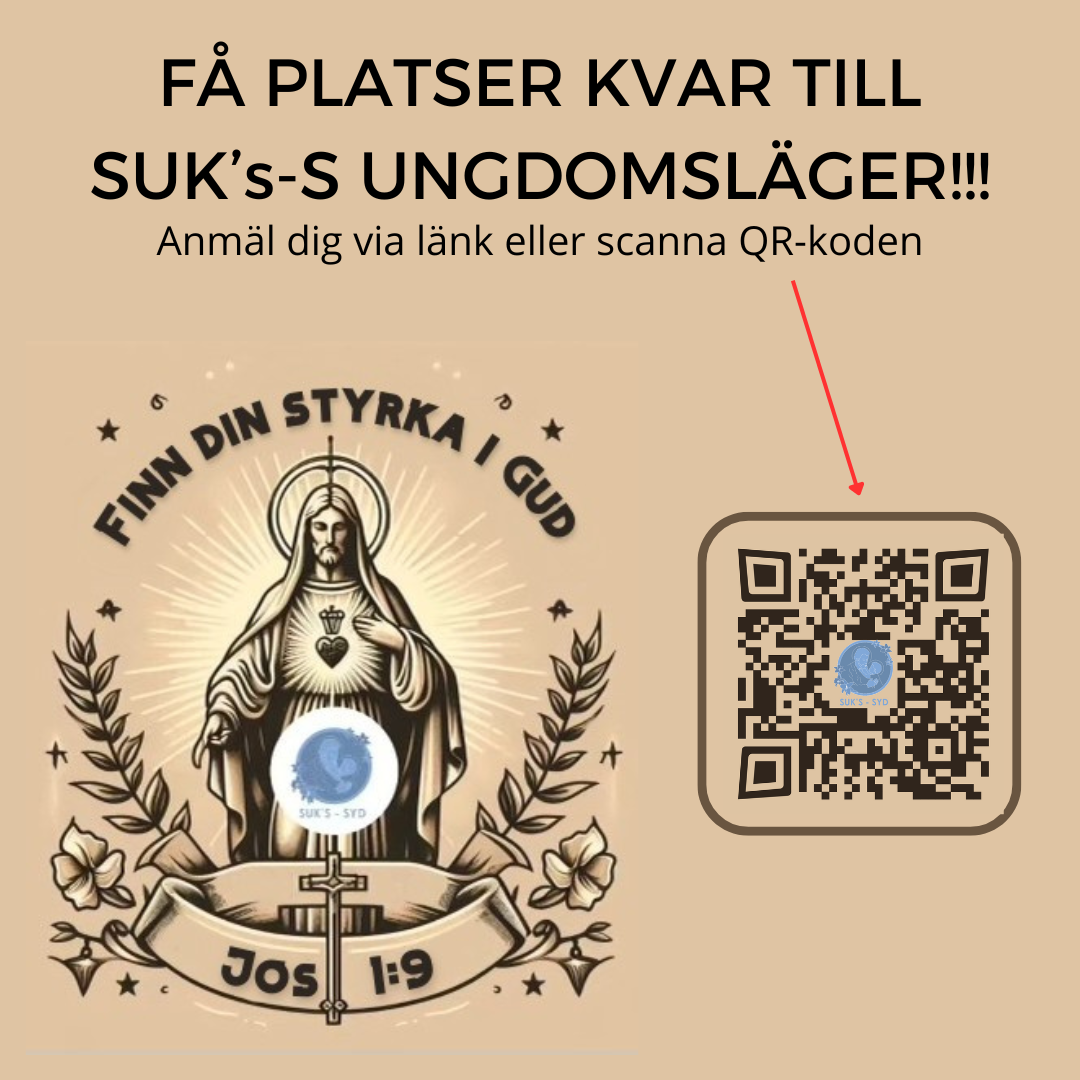 Sveriges Unga Katolikers ungdomsläger